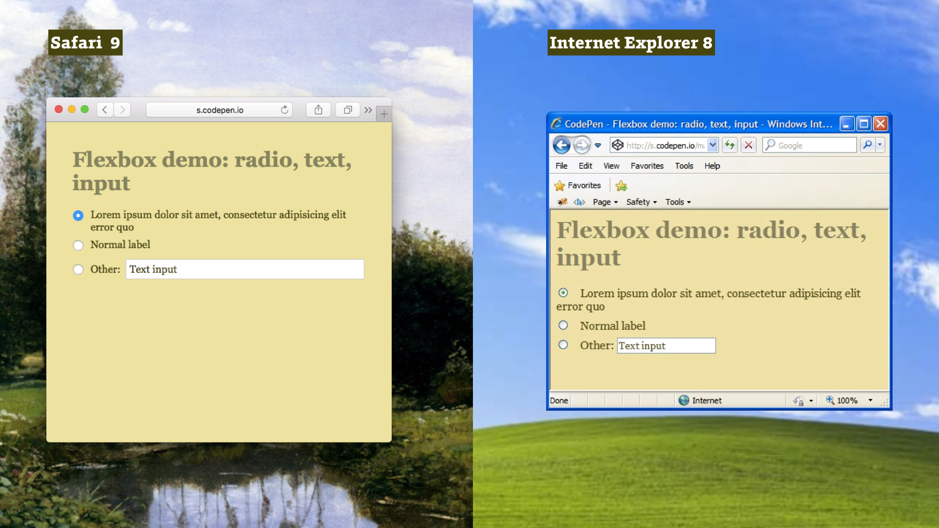 Fallback for IE8